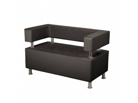 Диван 2 местный Райли черный