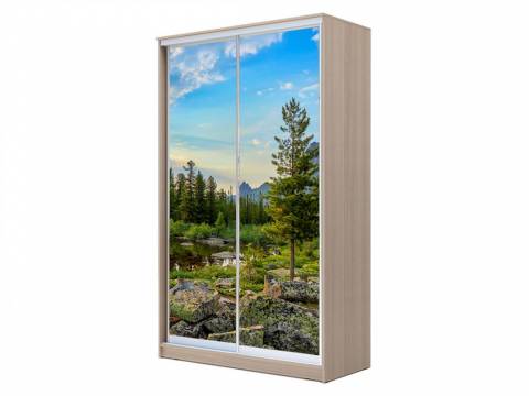 Шкаф-купе Хит 23-14-77 фото 30