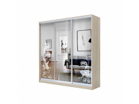 Шкаф-купе Хит 23-18-656 с рисунком 01